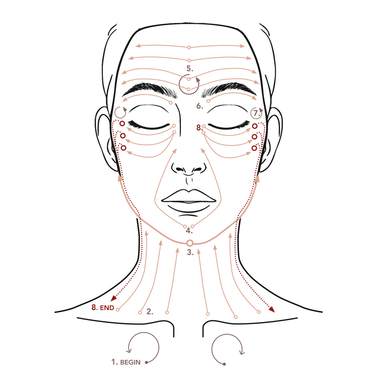 CUP No. 1 · ansigt/ hals