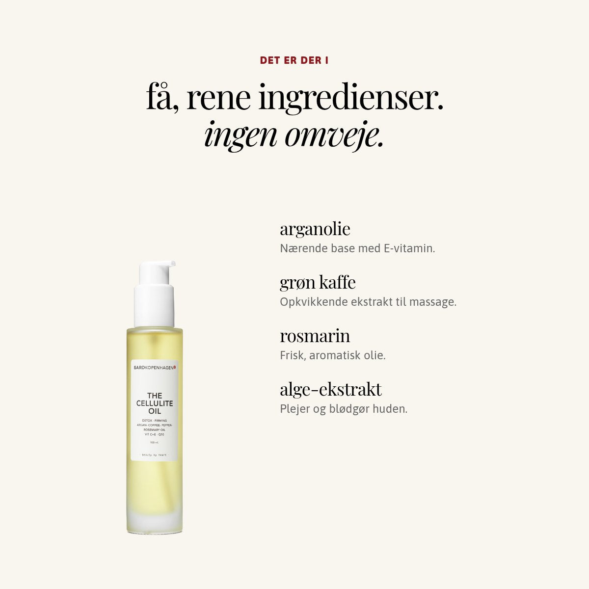 Ingredienser i THE CELLULITE OIL: arganolie, grøn kaffe, rosmarin, alge-ekstrakt – SARDKOPENHAGEN